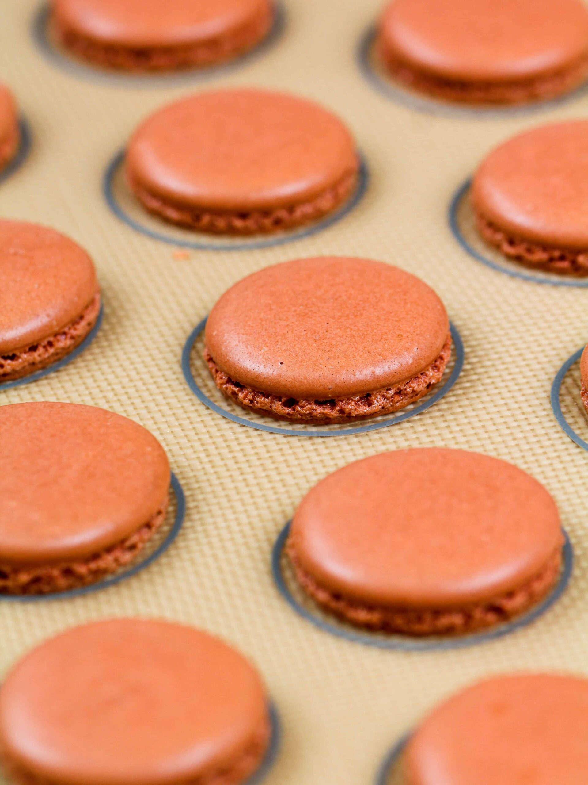 image of baked gingerbread macaron shells
