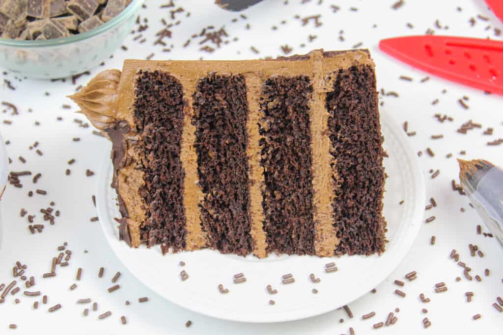 image of a slice of gluten free chocolate cake with chocolate sprinkles all around it