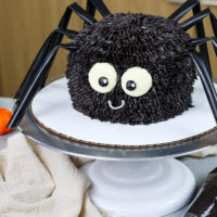 image of a cute and easy spider cake made for halloween
