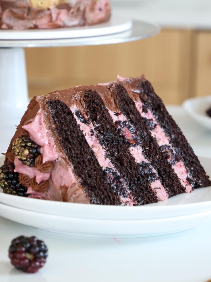 image of a chocolate blackberry cake slice on a plate
