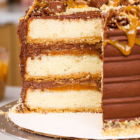 image of a twix cake that's been cut open to show its fluffy vanilla cake layers, thick caramel filling and shortbread crust