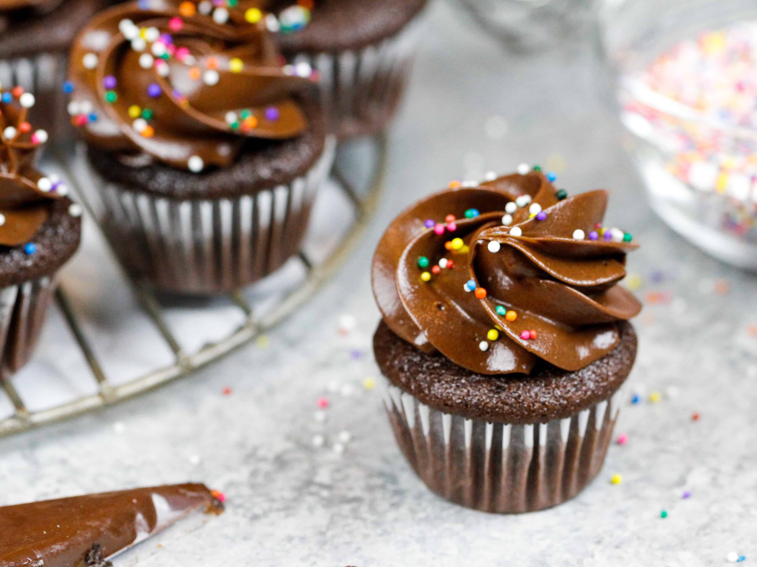 image of an adorable mini chocolate cupcake