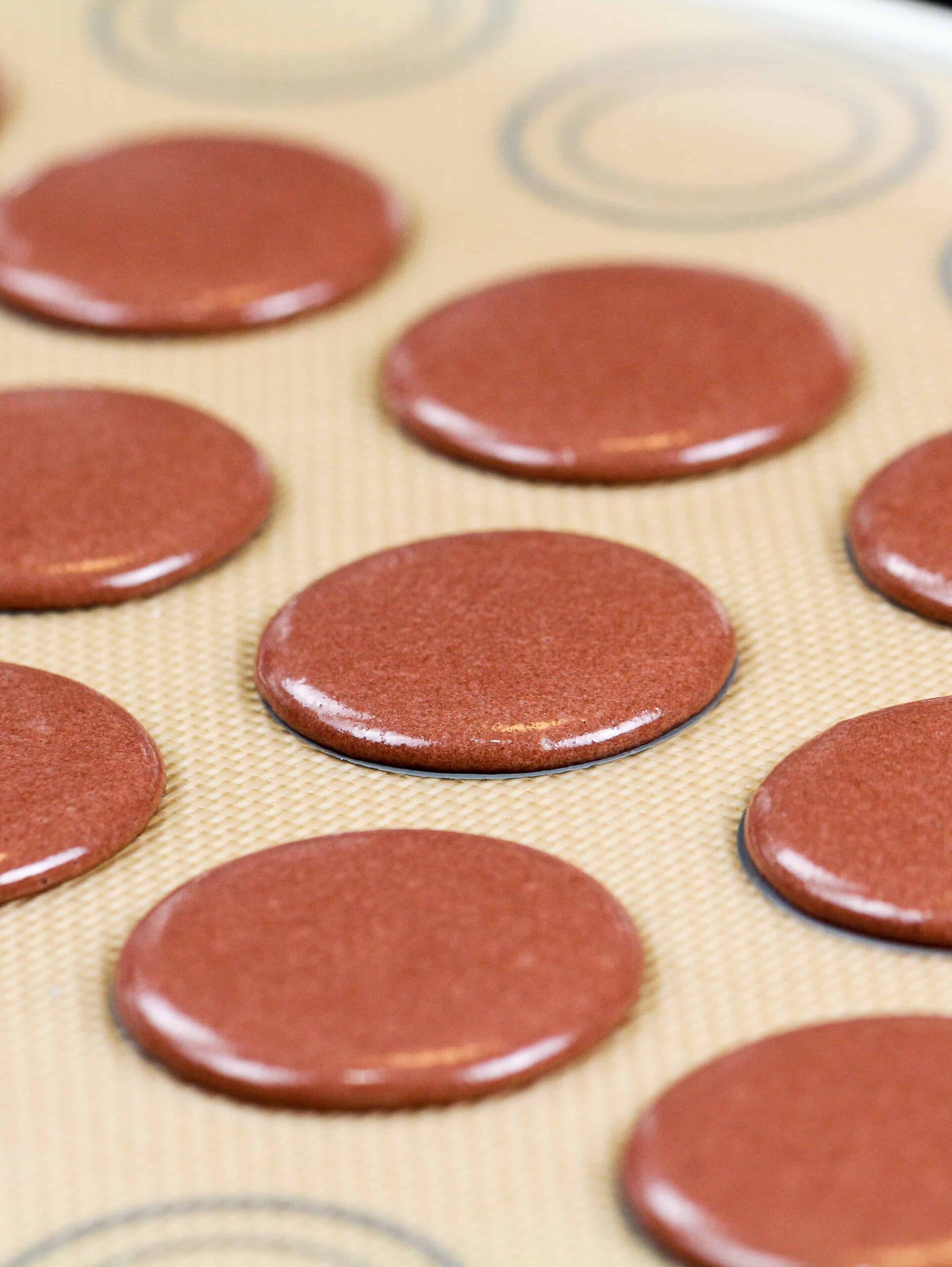 image of piped gingerbread macaron shells that are resting
