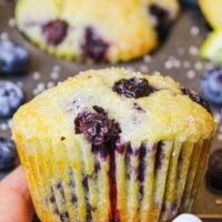 image of lemon blueberries muffins made with yogurt