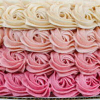image of a gorgeous pink ombre rosette cake