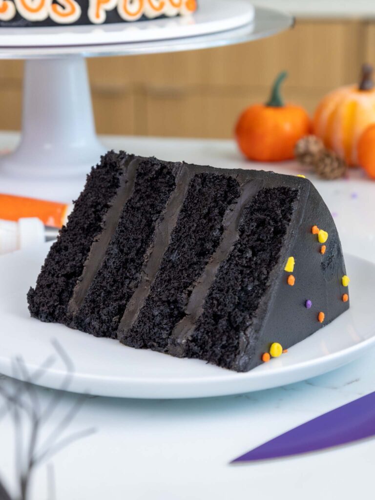 image of a slice of black cocoa cake on a plate