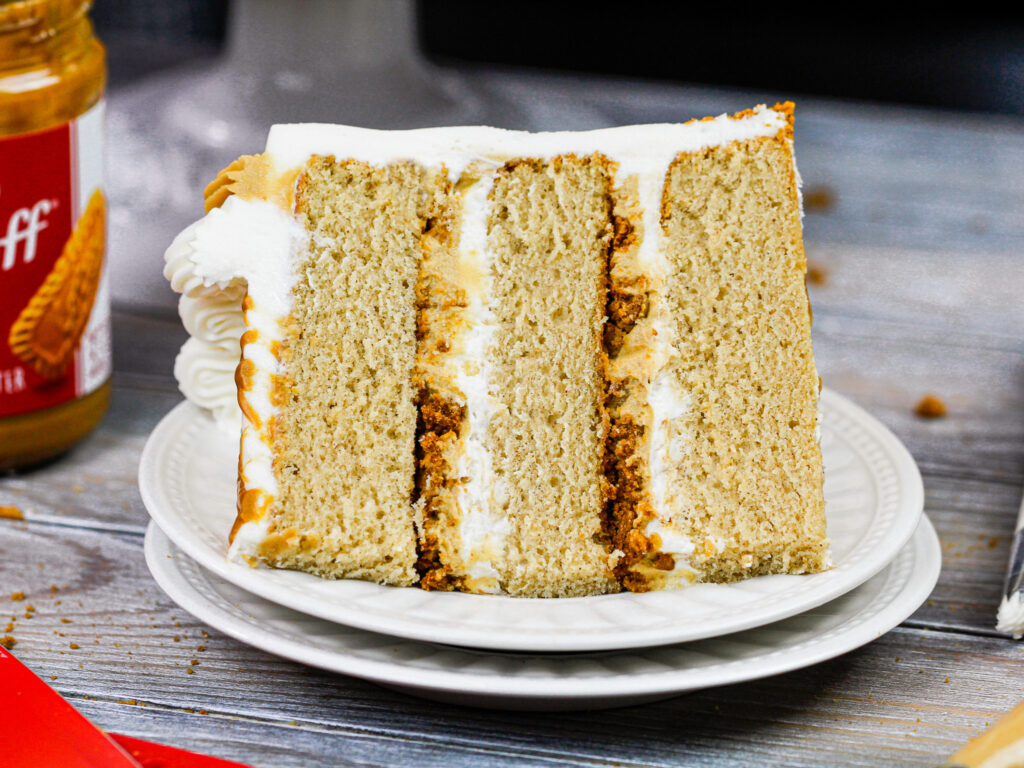 image of a slice of cookie butter cake