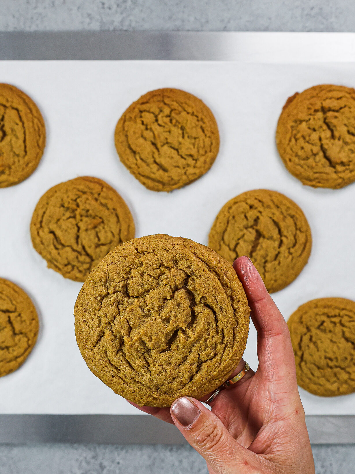 image of soft batch gingerbread cookies